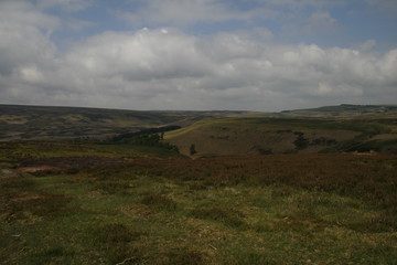 beautiful nature, walking around Lady Bower, Peak District, UK