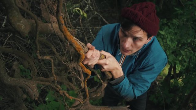 Young courageous hiker climbs up top by slope clinging to the roots of trees. Wildlife around. Freedom travel adventure theme