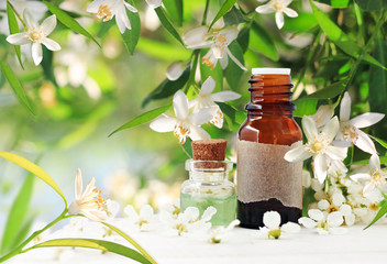 
Neroli (orange) blossom perfume. Citrus essential oil bottles, spring flowering tree with white aroma flowers and green freshness. Herbal beauty treatment.