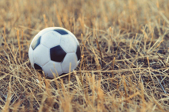 close-up football toys on the autumn grass