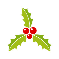 Christmas holly berries plant icon