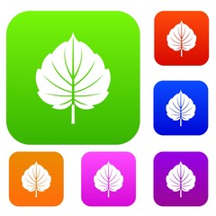 Alder leaf set color collection