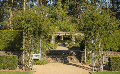Botanic garden in Blue mountains national park