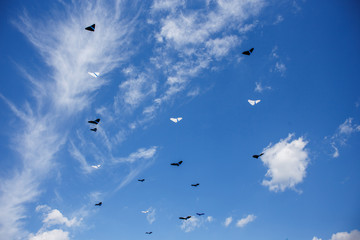 a lot of kites in the blue sky with white clouds