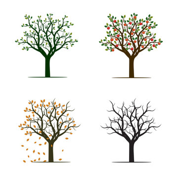 For Season Trees. Vector Illustration.