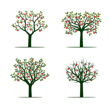 Set of Green Tree with red Apples. Vector Illustration.