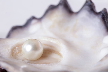 Single pearl in an oyster shell 