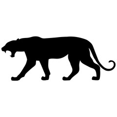 Black panther creeps up to victim