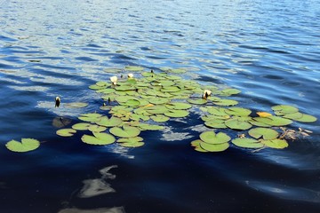 See in Vaxjö