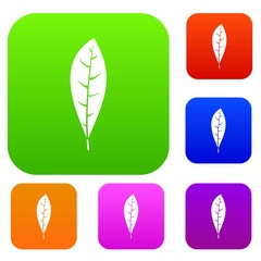 Leaf set color collection