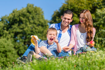 Family having picnic sitting in grass on meadow in summer