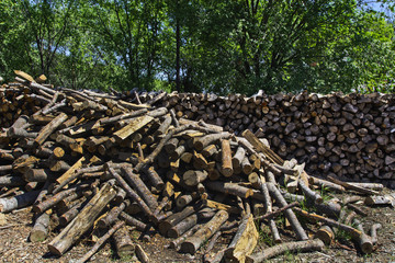 Firewood