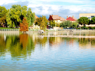 Fototapeta premium Paisaje con lago I