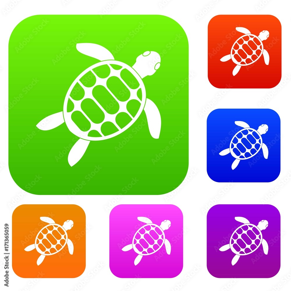 Poster turtle set color collection