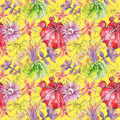 Fototapeta na wymiar Wildflower cactus flower pattern in a watercolor style. Full name of the plant: Aloe. Aquarelle wild flower for background, texture, wrapper pattern, frame or border.