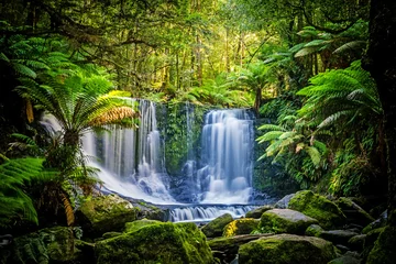 Tuinposter De Horseshoe Falls in het Mt Field National Park, Tasmanië, Australië © MrForever
