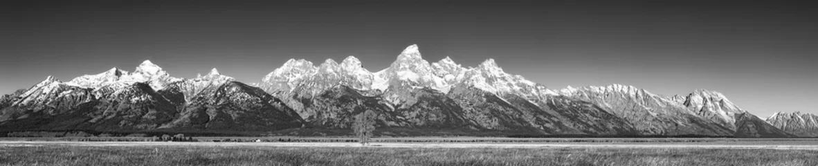 Wall murals Bestsellers Mountains Black and white panoramic picture of the Grand Teton Mountain Range in autumn, Wyoming, USA.