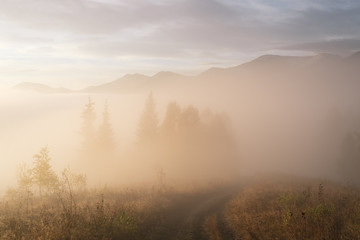 Fototapeta na wymiar Morning autumn fog in the mountains