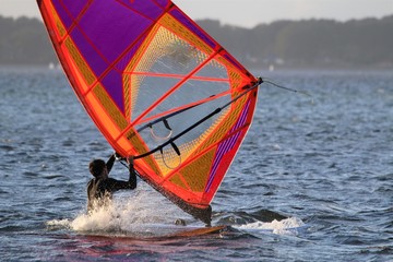 Windsurfer