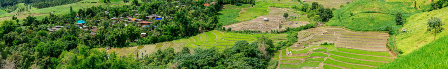 Rice terrace and mountain with the rain storm at the background at Pa Bong Piang near Inthanon National Park and Mae Chaem, Chiangmai, Thailand..