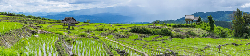 A panorama view of  little hut and Rice terrace in a cloudy lighting surrounded by trees and mountains with a raining storm in the background at Pa Bong Piang  Mae Chaem, Chiangmai, Thailand.