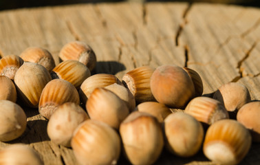 Hazelnuts on a rustic background. Healthy snack 