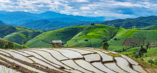 Panorama view of little hut and Rice terrace in a cloudy lighting surrounded by trees and mountains.