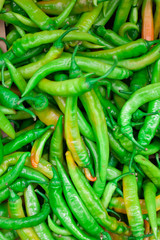 Green bitter pepper background top view Many green chili peppers, Food raw material