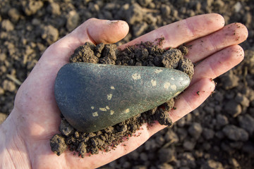 Neolithic stone axe 5000-6000 BC