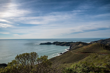 Bay Area Landscape 