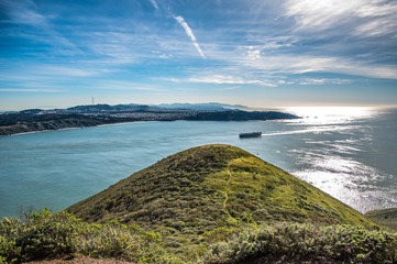 Bay Area Landscape 