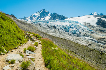 Glacier of Le Tour and Chardonnait