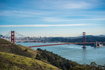 Bay Area Landscape 