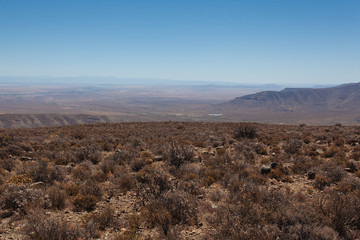 Northern Cape, South Africa, Desert