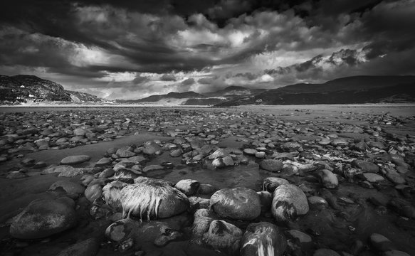 Fototapeta Dramatic Black and White Coastscape in North Wales