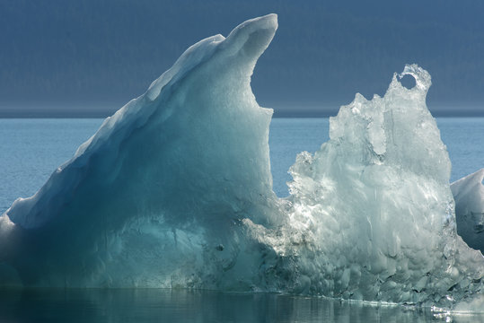 Iceberg Sculpture, Endicott Arm, Alaska