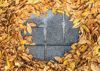 The fallen leaves are creatively folded on a concrete pavement top view. Autumn background with blank space for text centered. Autumn Approach, Season Change Concept