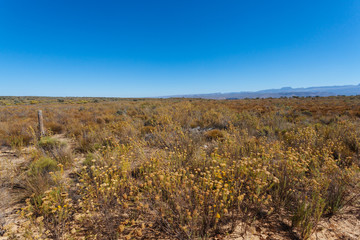 Northern Cape, South Africa, Desert
