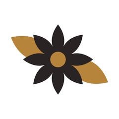 christmas flower poinsettia decoration celebration vector illustration