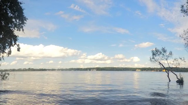 yachts on a lake in a summer park timelapse