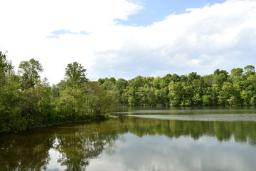 Fototapeta na wymiar Peaceful Lake