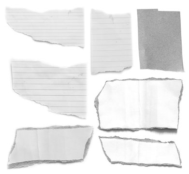 paper tears isolated on white background with copy space