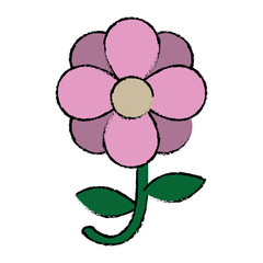 beautiful flower icon over white background colorful design vector illustration