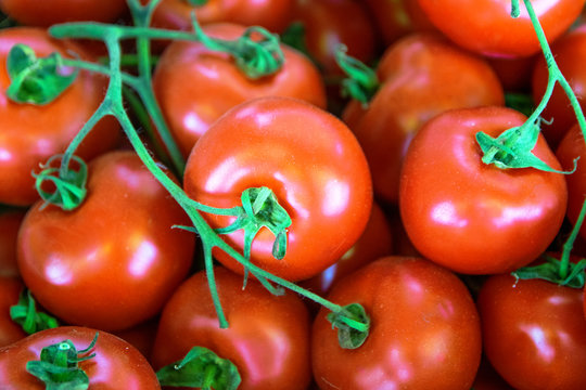 Fresh organic tomatoes as background. Close up