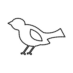 christmas bird animal decoration ornament vector illustration