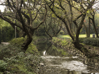 Obraz premium Natural scenery