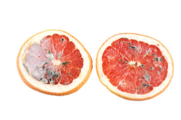 Rotten cut grapefruit with fungus isolated on white background