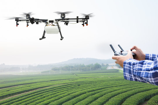 Farmer control agriculture drone fly to sprayed fertilizer on the green tea field