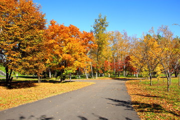 Park in Sapporo in autumn