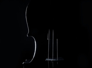 violin, musical instrument